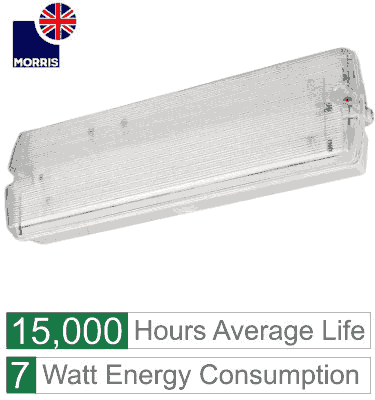 Morris LED emergency bulkhead light long lasting and energy efficient