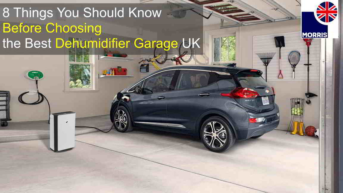 8 Things You Should Know Before Choosing the Best Dehumidifier Garage UK