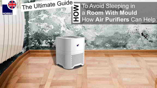 How to Avoid Sleeping in a Room With Mould: How Air Purifiers Can Help (March 2024 update)