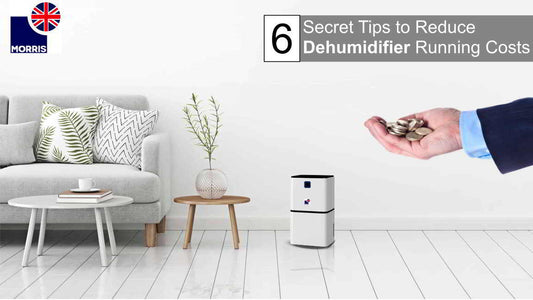 6 Secret Tips to Reduce Dehumidifier Running Costs (Nov 2023 update)