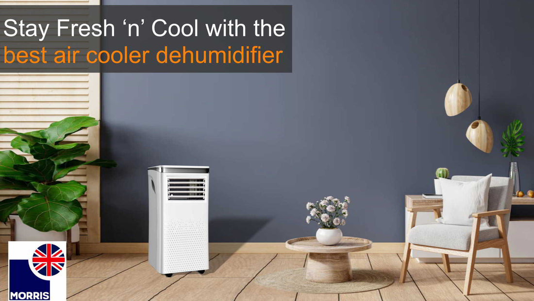 Stay Fresh ‘n’ Cool With the Best Air Cooler Dehumidifier (May 2024 update)