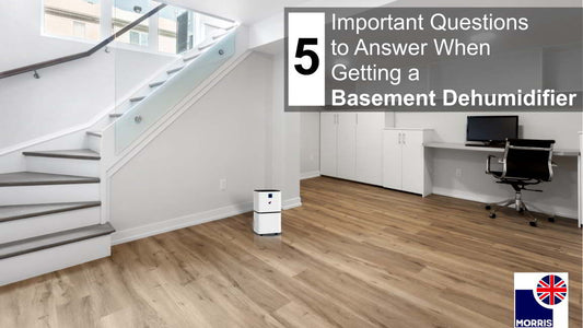 5 Important Questions to Answer When Getting a Basement Dehumidifier