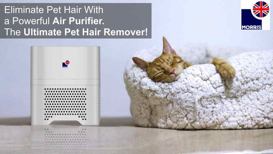 Eliminate Pet Hair With a Powerful Air Purifier-The Ultimate Pet Hair Remover! (March 2024 update)