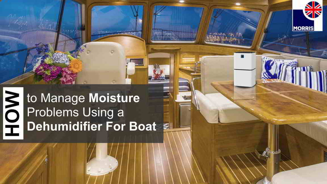 How to Manage Moisture Problems Using a Dehumidifier For Boat