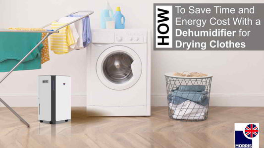 How To Save Time and Energy Cost With a Dehumidifier for Drying Clothes (Nov 2023 update)