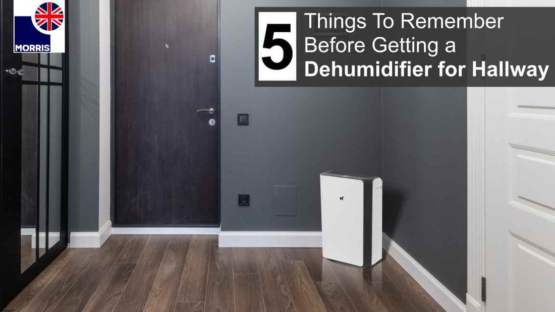 5 Things To Remember Before Getting a Dehumidifier for Hallway (Nov 2023 update)