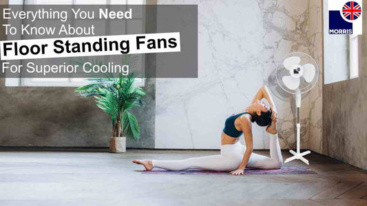 Everything You Need To Know About Floor Standing Fans For Superior Cooling (March 2024 update)