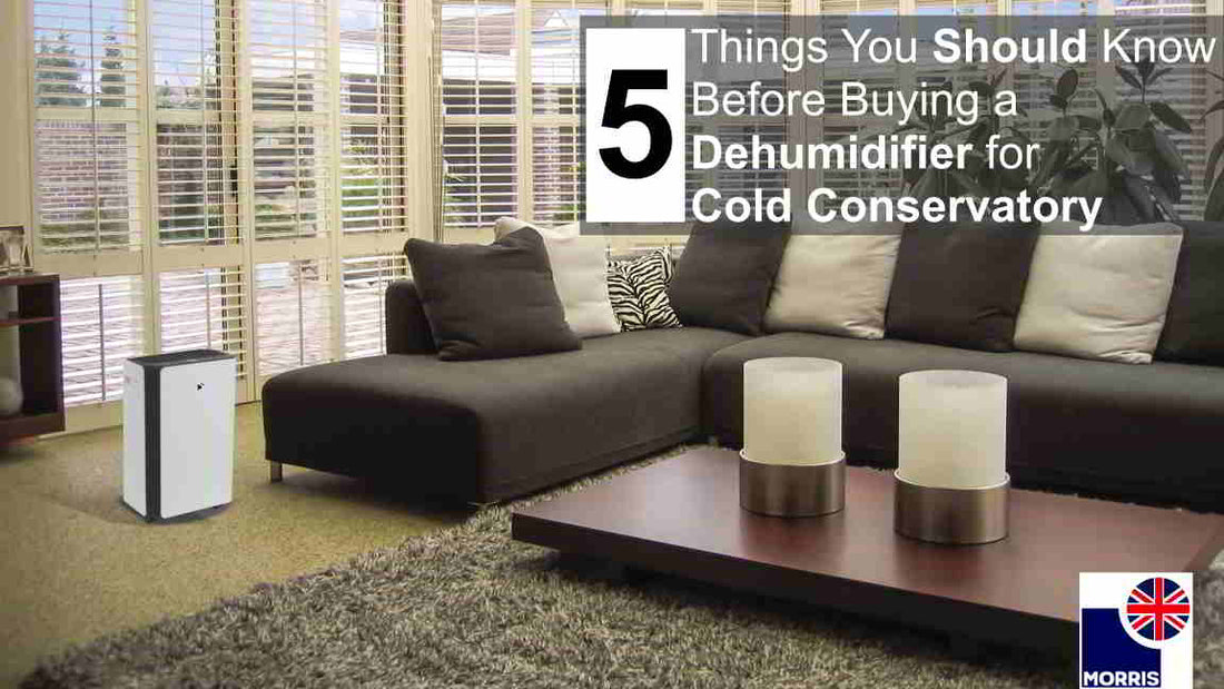 5 Things You Should Know Before Buying a Dehumidifier for Cold Conservatory