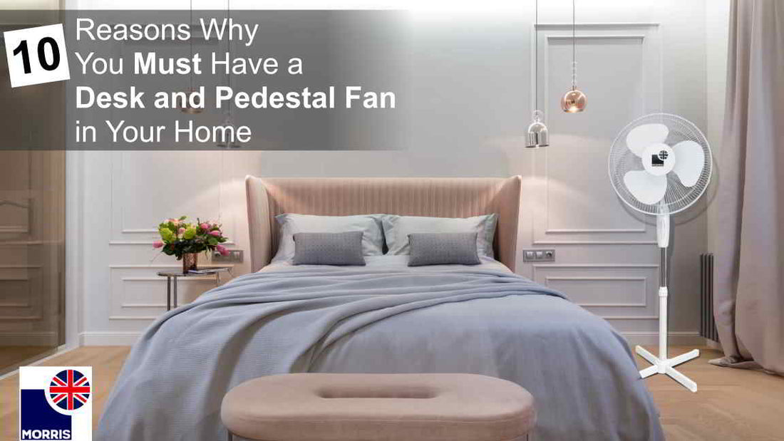 10 Reasons Why You Must Have a Desk and Pedestal Fan in Your Home (March 2024 update)