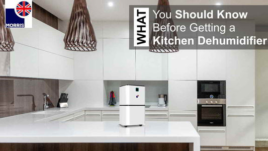 What You Should Know Before Getting a Kitchen Dehumidifier