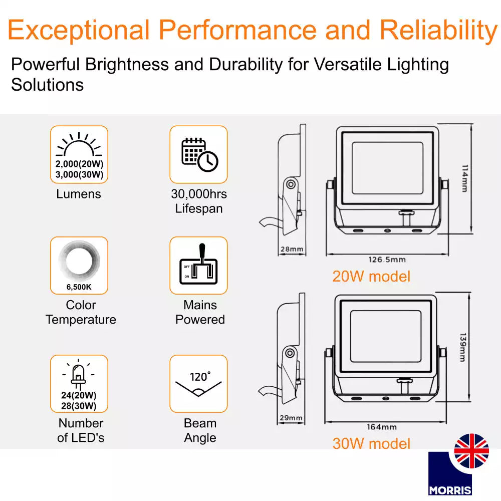 Morris Floodlight 6500K 30W