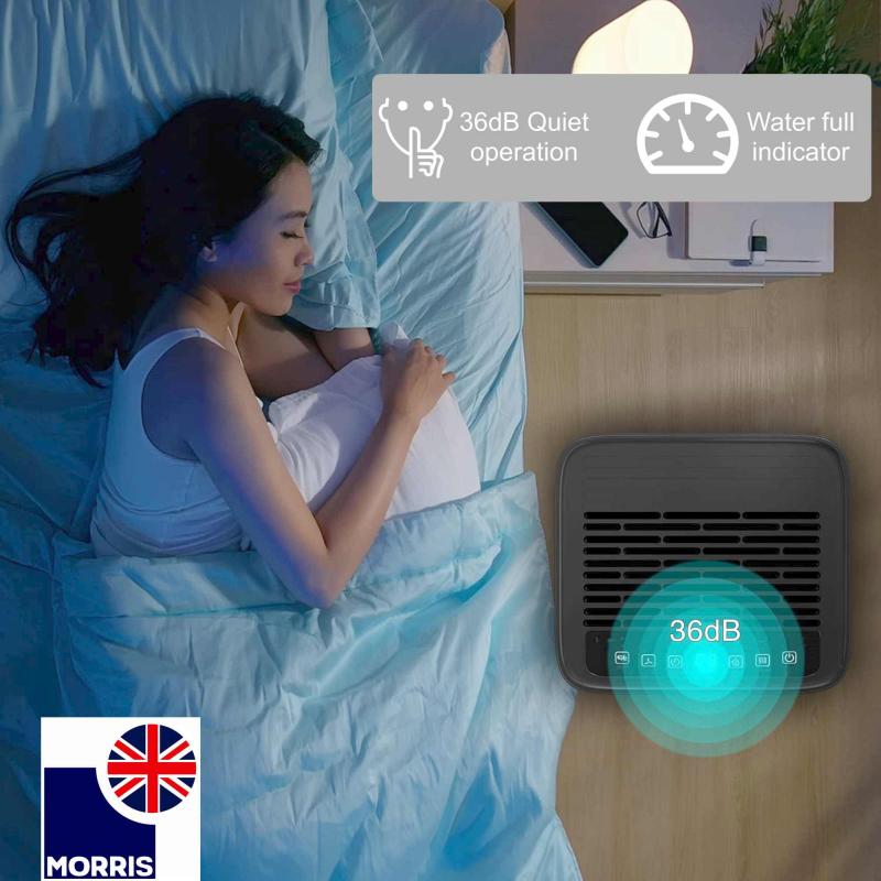 Morris 12L Smart Dehumidifier with WiFi Control