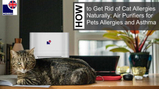 How to Get Rid of Cat Allergies Naturally: Air Purifiers for Pets Allergies and Asthma (March 2024 update)