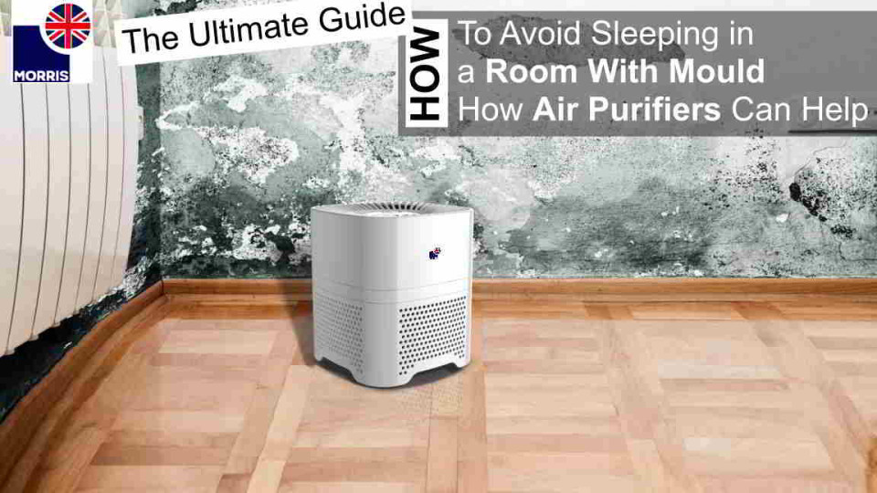 How to Avoid Sleeping in a Room With Mould: How Air Purifiers Can Help