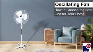 Oscillating Fan: How to Choose the Best One for Your Home