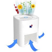 Morris 4 in 1 Compact Air Purifier for Home HEPA for Dust, Smoke, Asthma, Mold (H13-Medical Grade filter)