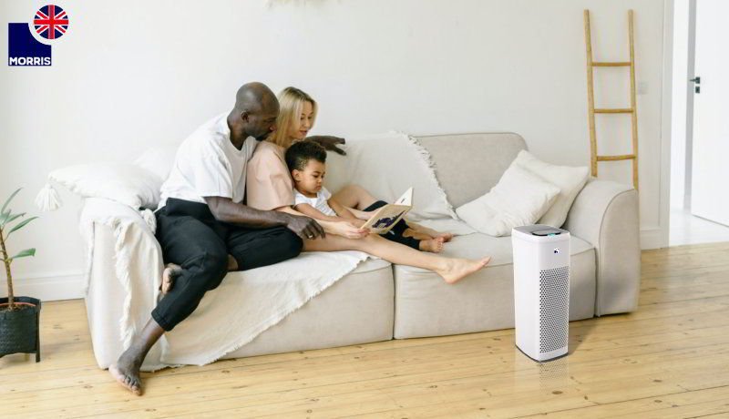 Do air purifiers work for mould?