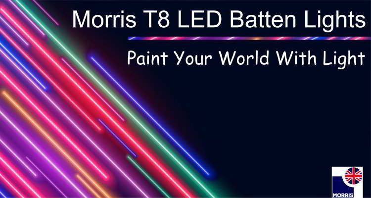 Morris 2ft coloured indoor & outdoor lights LED T8